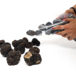 Intero di estivo congelato 1 kg